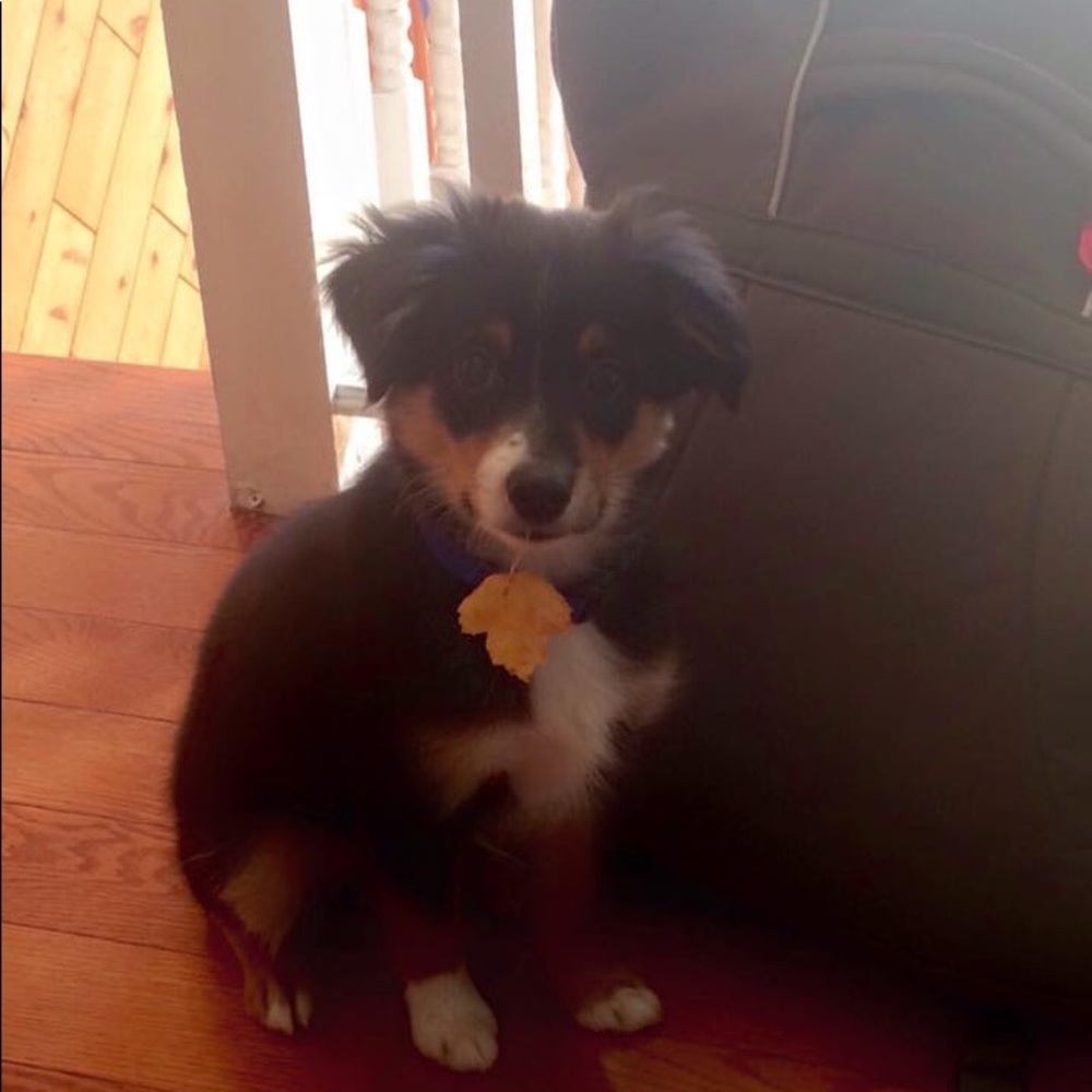 Meet your Posher, Evelyn